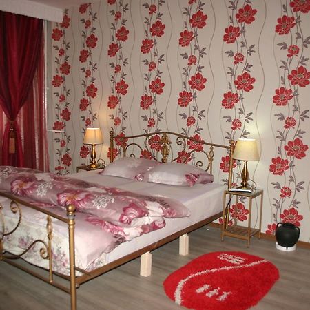 Salonul Rosu Apartment Bacau Bagian luar foto