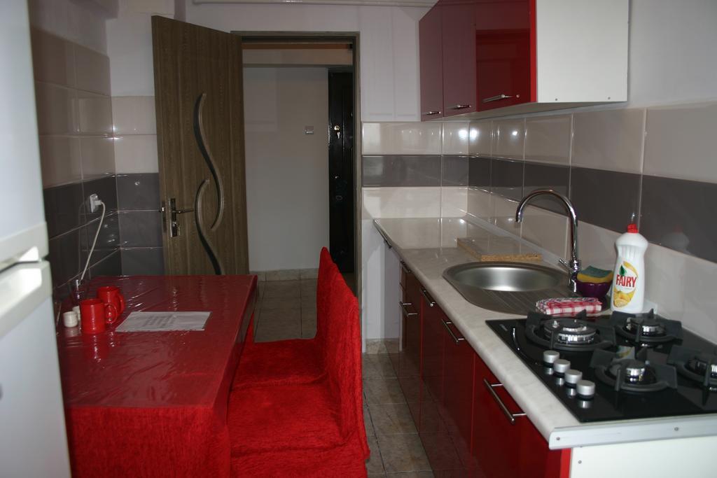 Salonul Rosu Apartment Bacau Bagian luar foto