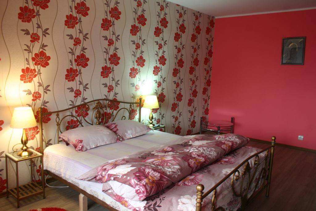 Salonul Rosu Apartment Bacau Bagian luar foto