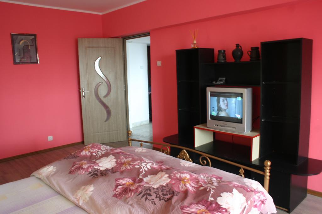 Salonul Rosu Apartment Bacau Bagian luar foto